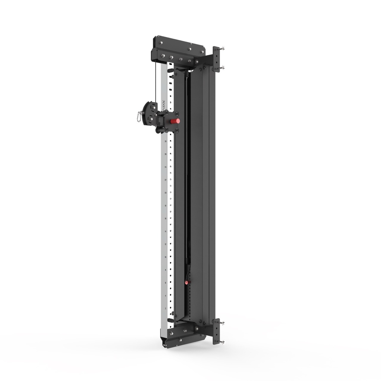 Brug Crossmaxx Cable Adjustable Pulley kabelstation med 32 højdepositioner og vægtmagasin til funktionel styrketræning i center og studio til en forbedret oplevelse